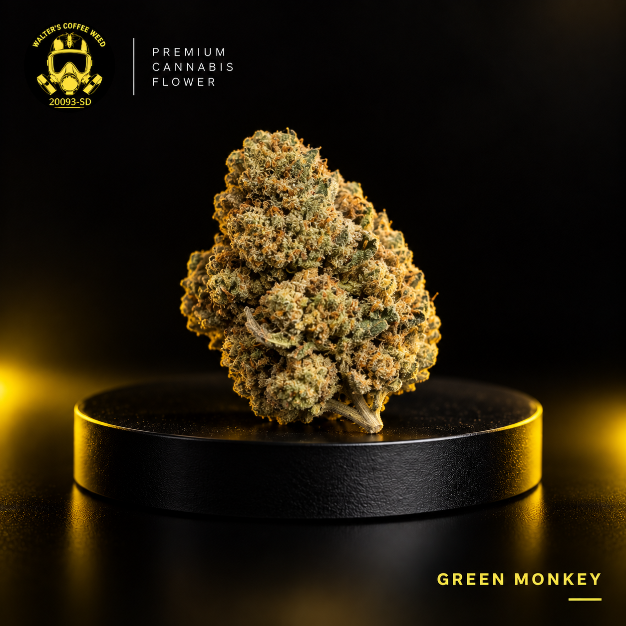 Green Monkey