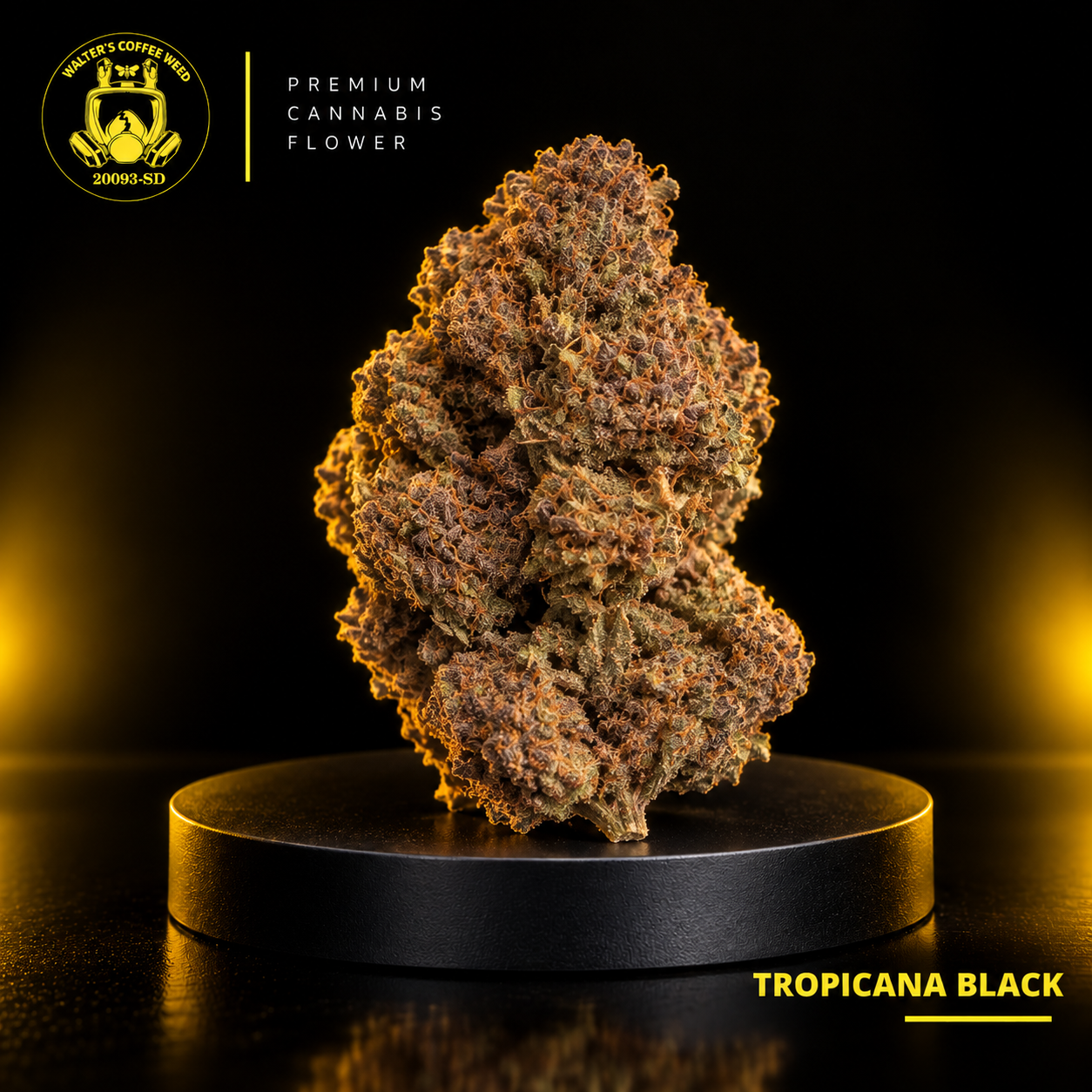 Tropicana Black