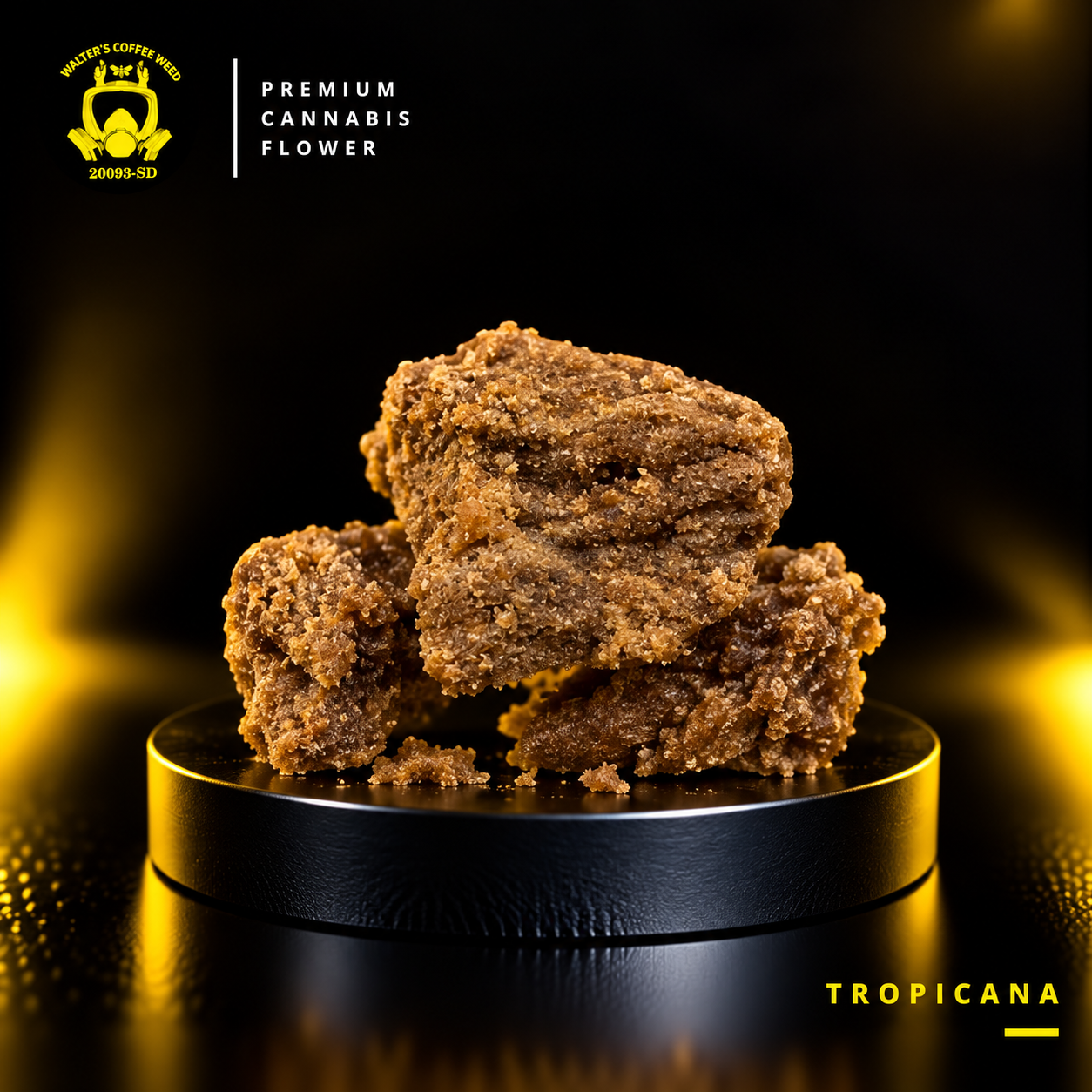 WPF Tropicana