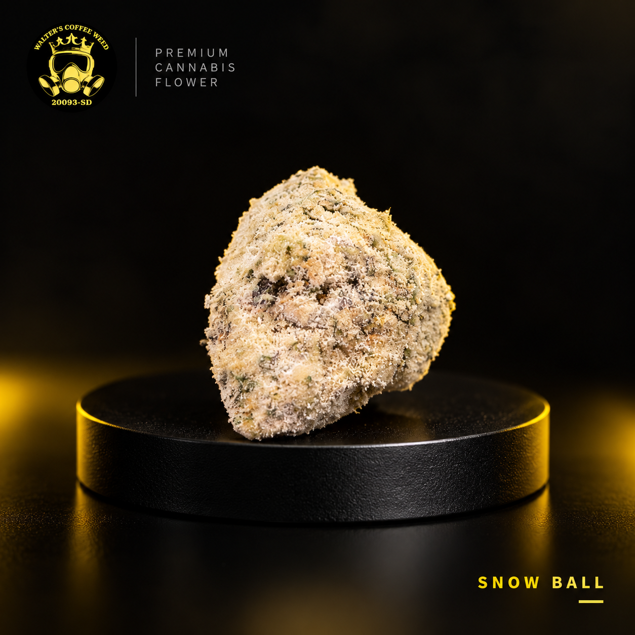 Snow Ball